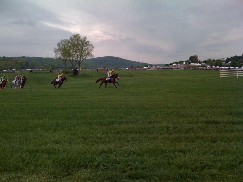 Gold Cup 010.JPG